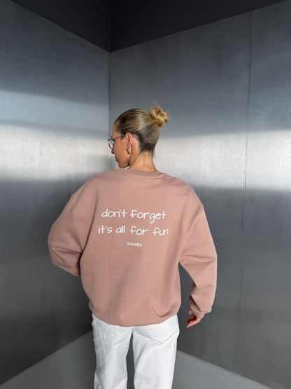 Baby pink Sweater "don't forget it's all for fun"