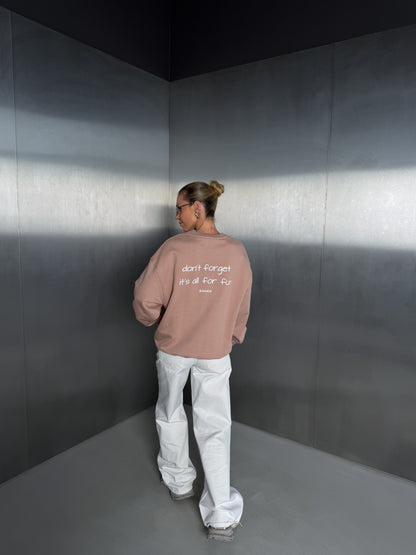 Baby pink Sweater "don't forget it's all for fun"